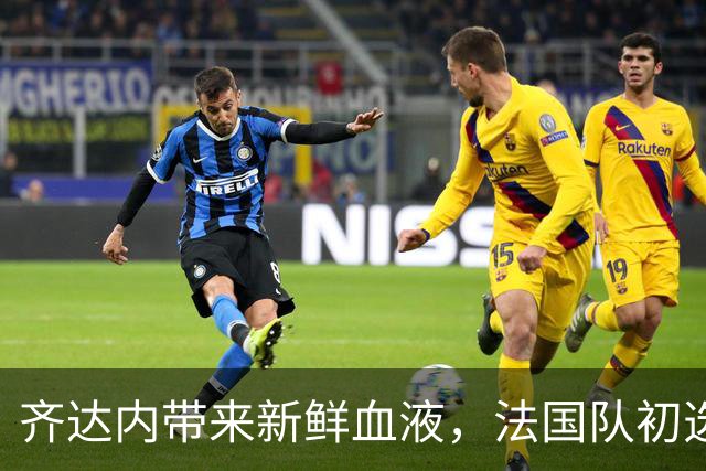 齐达内带来新鲜血液，法国队初选名单揭晓！